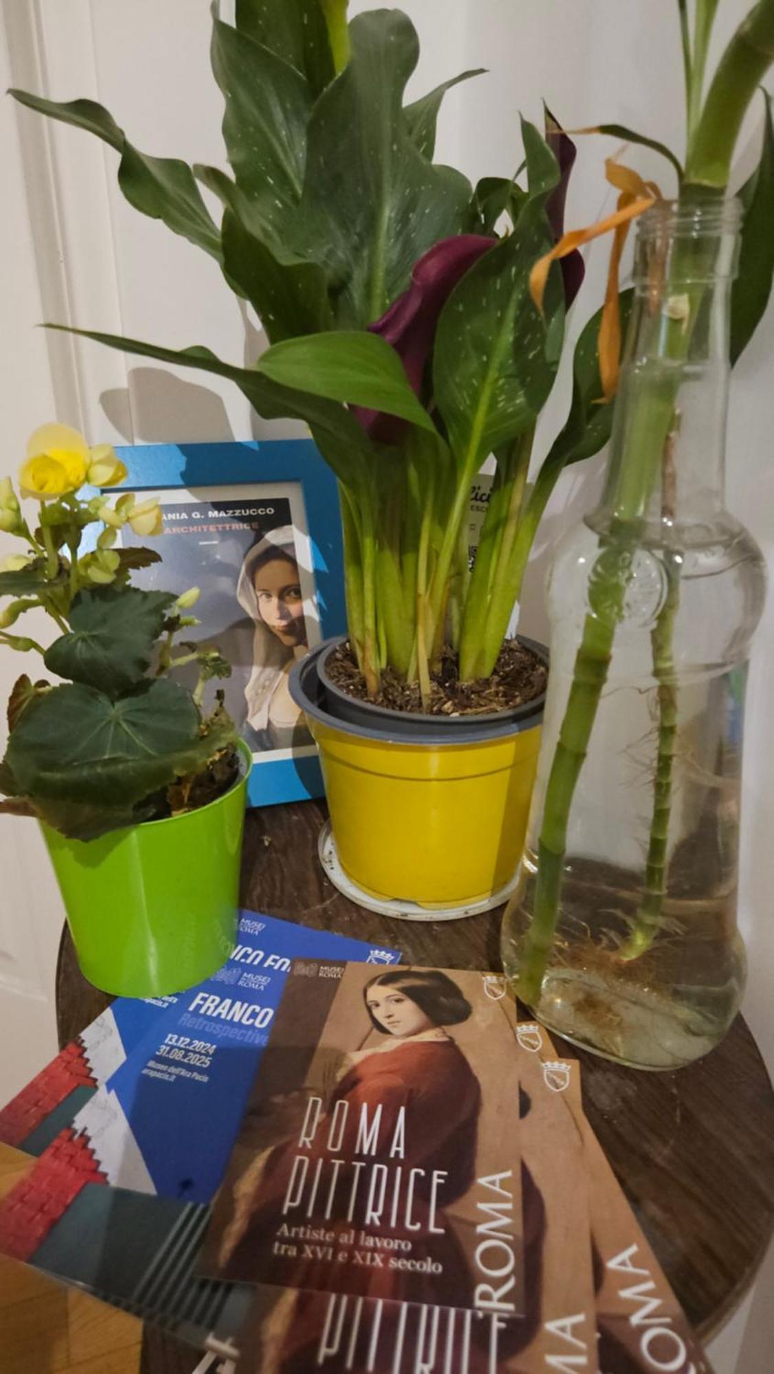 Ulysses In Rome Bed & Breakfast Bagian luar foto