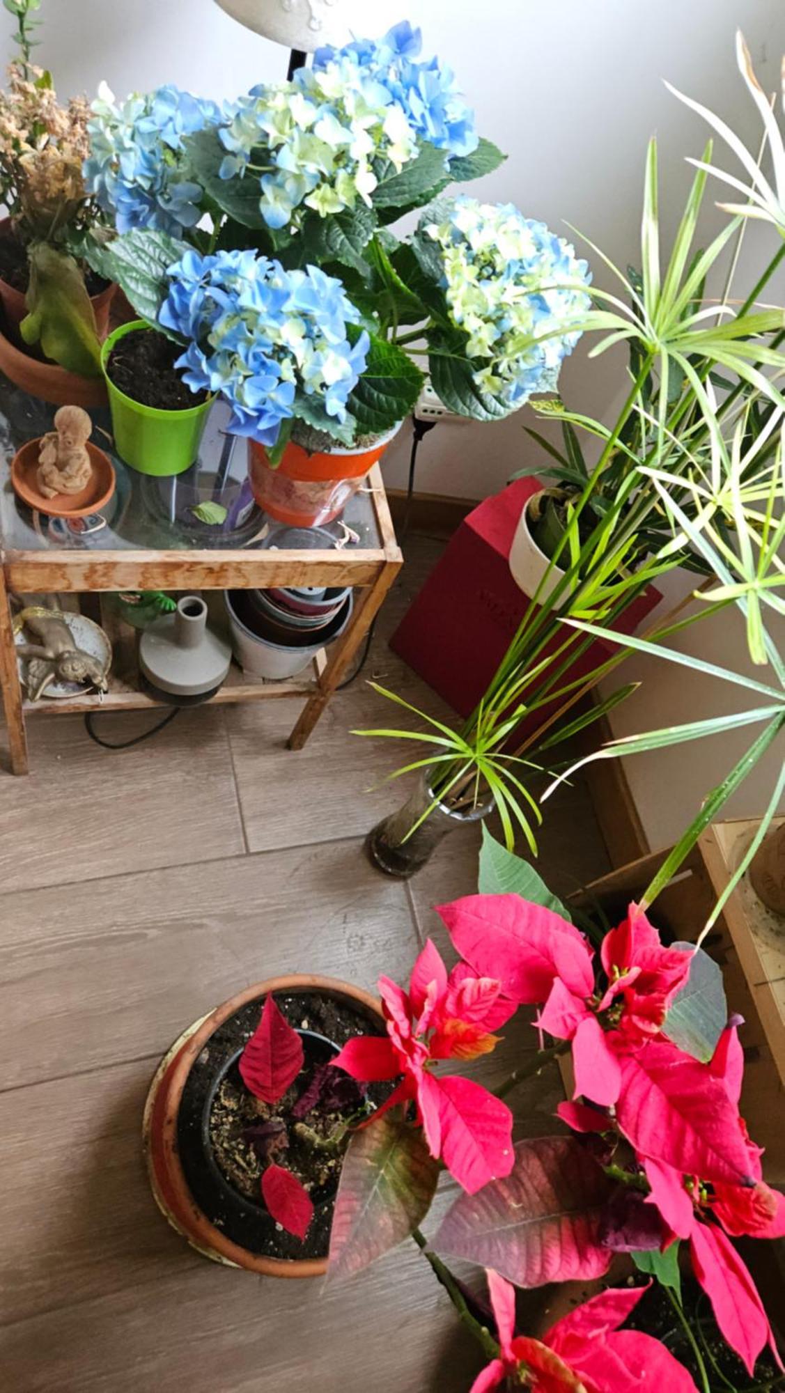 Ulysses In Rome Bed & Breakfast Bagian luar foto